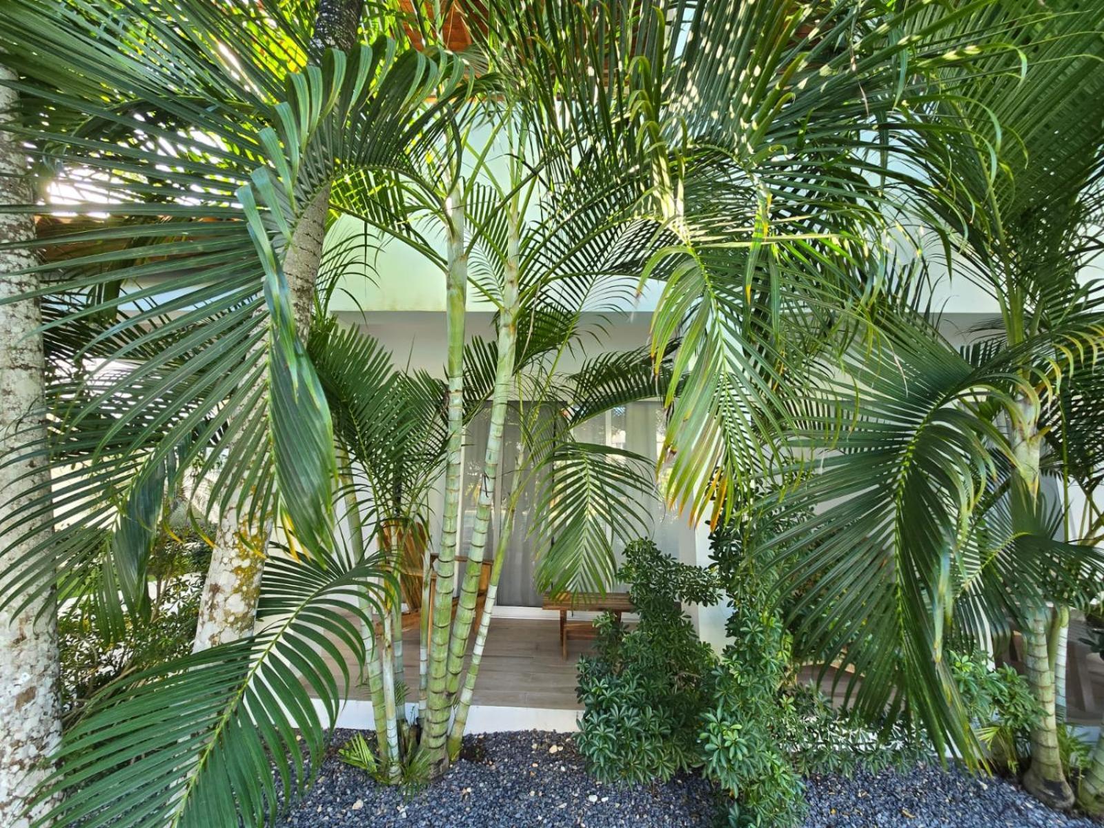 Residencial Paraiso Bayahibe Extérieur photo